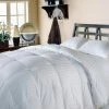 Best reviews of ???? Blue Ridge Home Fashions Blue Ridge 350 Thread Count Damask Stripe Cover, Down Comforter ????